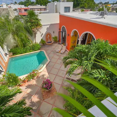 Casa Oasis Guest House And Spa-2